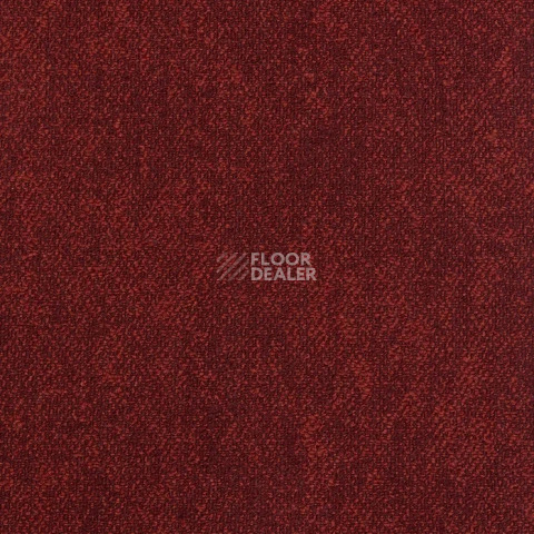 Ковролин Haima Coral 36 фото 1 | FLOORDEALER